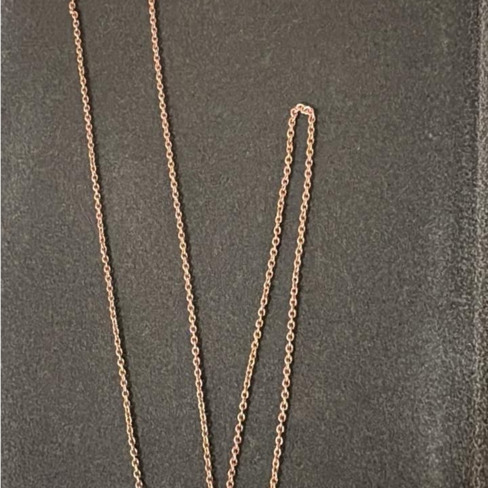 Stella & Dot Namesake Delicate Rose Gold Chain Necklace